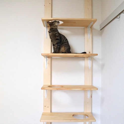 【数々のアワードを受賞】 穴付きキャットステップ 4点セット ハウス キャットウォーク その他