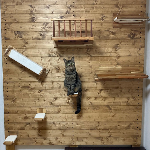 キャットウォーク DIYウォールに設置 ハウス・小屋 キャティトピア