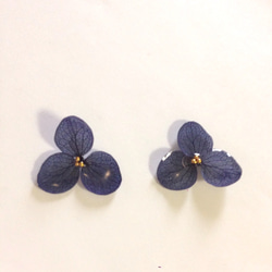 シンプル 紫陽花 【ネイビー】 3枚目の画像