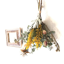 Spring Antique Mimosa 1枚目の画像