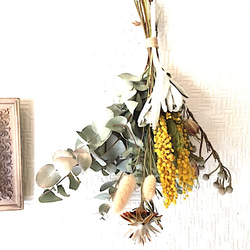 Spring Antique Mimosa 4枚目の画像