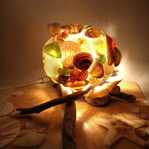 shell light ＊ beach ＊ シェルライト ランプ LED shell light ＊ beach ＊ シェルライト ランプ LED Amazon.co.jp