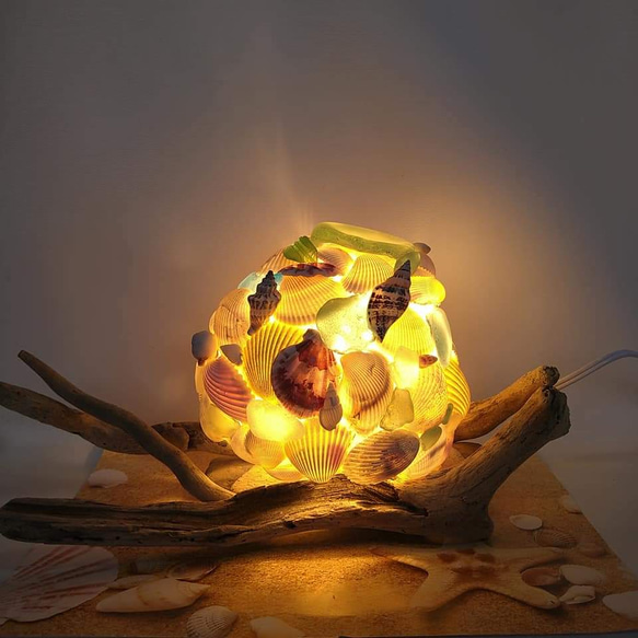 シェルランプ(LL) スタンドライト・テーブルランプ Art.来実子 通販  