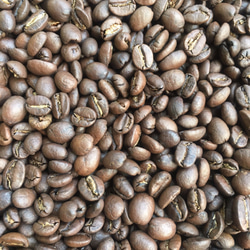送料無料で届く新鮮な自家焙煎コーヒー豆｜ガテマラSHB｜300g（150g×2袋）｜中深煎り 3枚目の画像