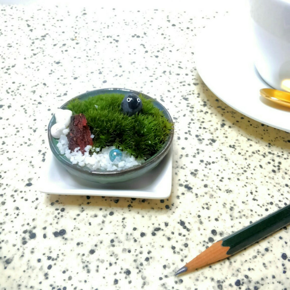 ミニ苔盆栽　丸平鉢　1 1枚目の画像