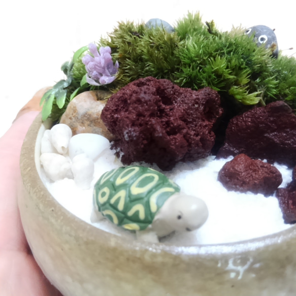 むっちゃんの苔庭　柚子小鉢D 4枚目の画像