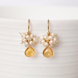 Citrine×Freshwater pearl  Pierced earrings or Clip earring 第1張的照片