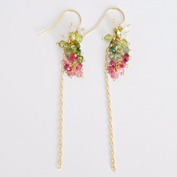 Tourmaline × Peridot   Pierced earrings or Clip earrings 第1張的照片
