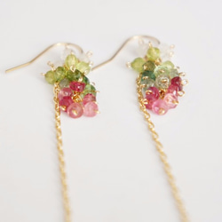 Tourmaline × Peridot   Pierced earrings or Clip earrings 第3張的照片