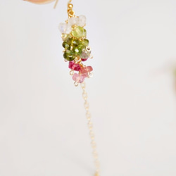 Tourmaline × Peridot   Pierced earrings or Clip earrings 第4張的照片