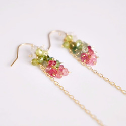 Tourmaline × Peridot   Pierced earrings or Clip earrings 第5張的照片