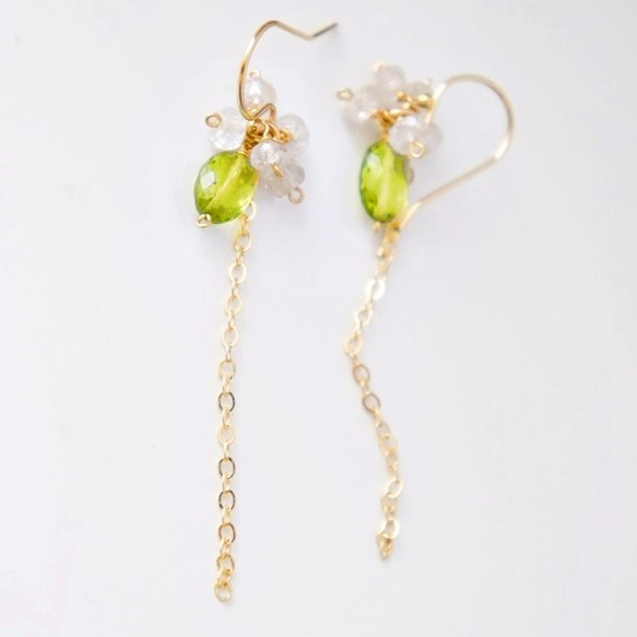 PERIDOT × ZIRCON  Pierced earrings or Clip earrings 第3張的照片