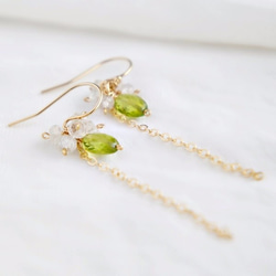 PERIDOT × ZIRCON  Pierced earrings or Clip earrings 第1張的照片