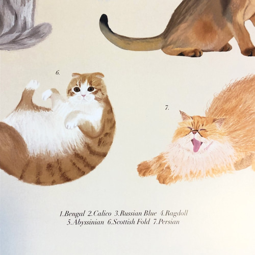 ねこ好き必見！】A3サイズ ネコ集合ポスター イラスト Spread Love