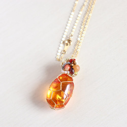 Amber necklace 第2張的照片