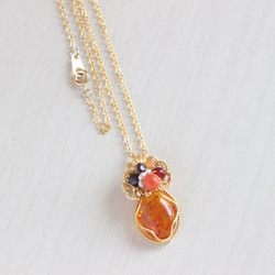 Amber necklace 第2張的照片