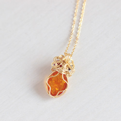 Amber necklace 第4張的照片