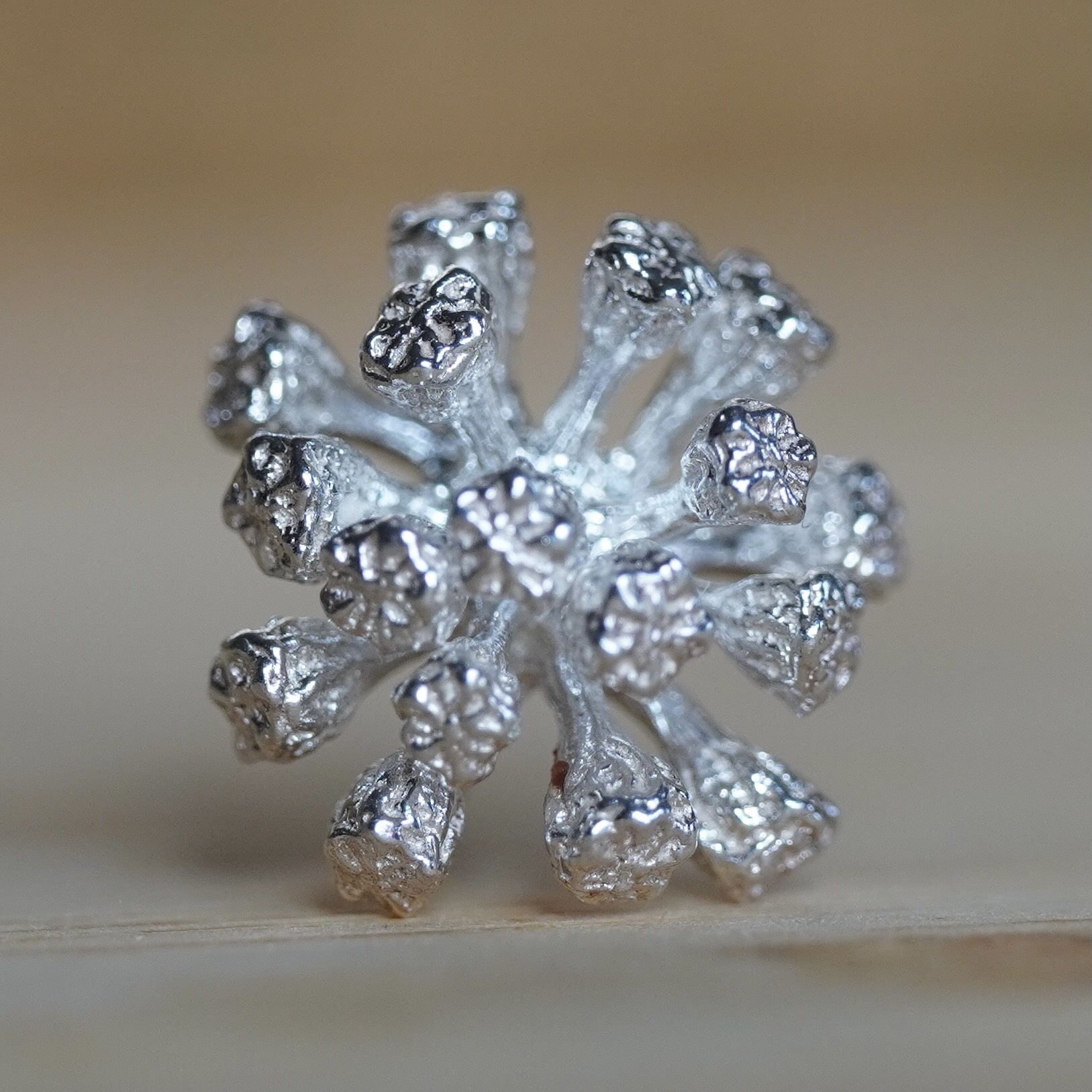 「夏限定」ヤツデペアピアス　SILVER925