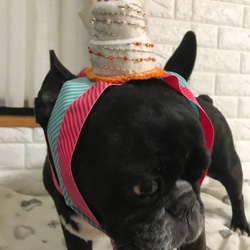 【再販】犬用お誕生日飾り（受注製作） 2枚目の画像
