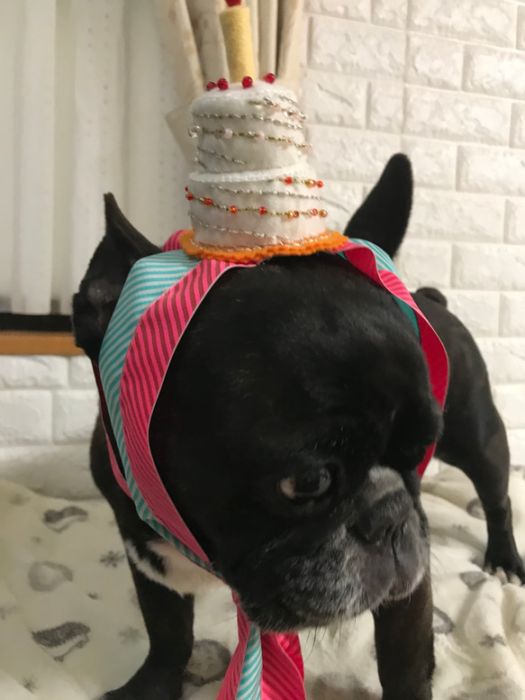 【再販】犬用お誕生日飾り（受注製作） 2枚目の画像
