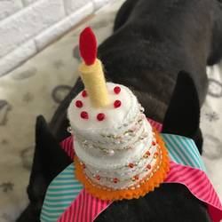【再販】犬用お誕生日飾り（受注製作） 4枚目の画像
