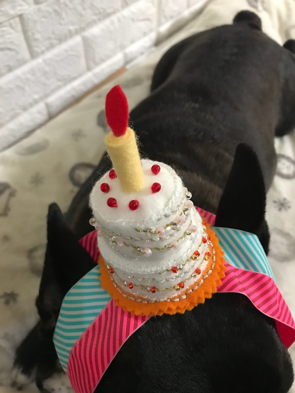 【再販】犬用お誕生日飾り（受注製作） 4枚目の画像