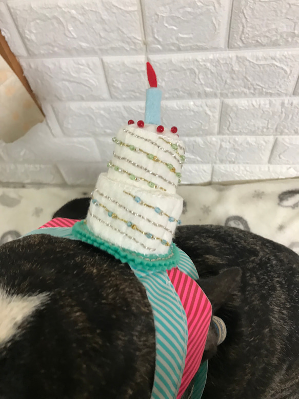 犬用お誕生日飾り 2枚目の画像