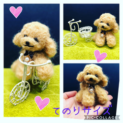 【受注制作品】羊毛フェルト　犬　トイプードル　アプリコット　手乗りサイズ　自転車付き 1枚目の画像