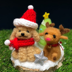 羊毛フェルト　クリスマスセット　トイプードル　アプリコット 2枚目の画像
