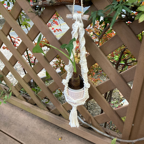 流木 マクラメ編み プラントハンガー No.7 流木 マクラメ編み プラント