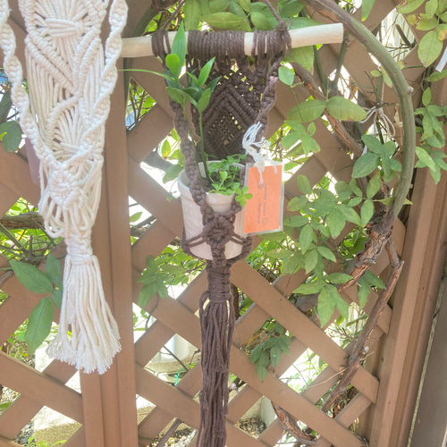 マクラメ プラントハンガー その他インテリア雑貨 colorful lemon 通販