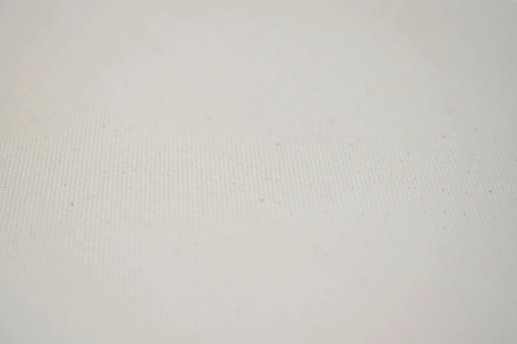 遠州織物 厚地 [綿 帆布] TKDオリジナル 生地 1m〜 3枚目の画像