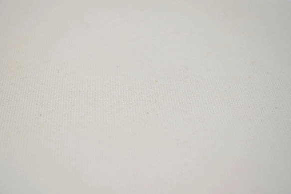 遠州織物 厚地 [綿 帆布] TKDオリジナル 生地 1m〜 3枚目の画像