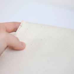 遠州織物 厚地 [綿 帆布] TKDオリジナル 生地 1m〜 1枚目の画像