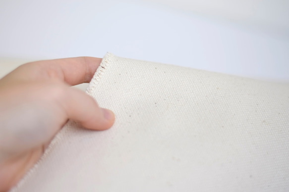 遠州織物 厚地 [綿 帆布] TKDオリジナル 生地 1m〜 1枚目の画像