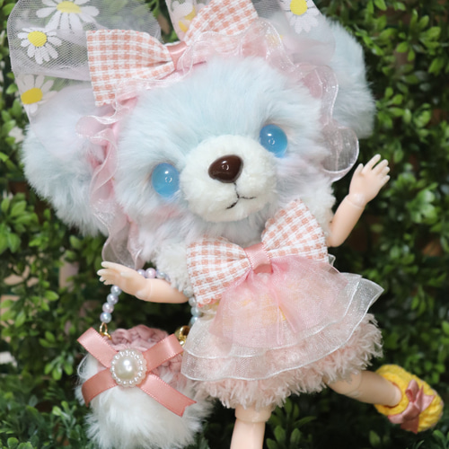 作家様　あみぐるみ　白猫　アートドール　テディキャット　ブライス　ドール　人形 作家様 あみぐるみ 白猫 アートドール テディキャット ブライス