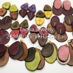 【creema限定・2019秋の福袋】選べるTagua jewelry*2点セット 1枚目の画像