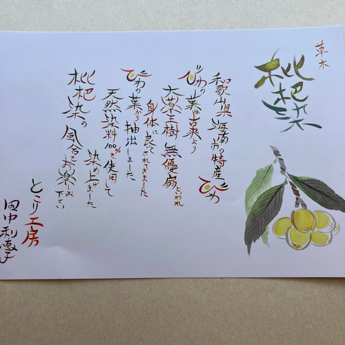 さよなら絶望先生 マイ箸セット さよなら絶望先生 マイ箸セット