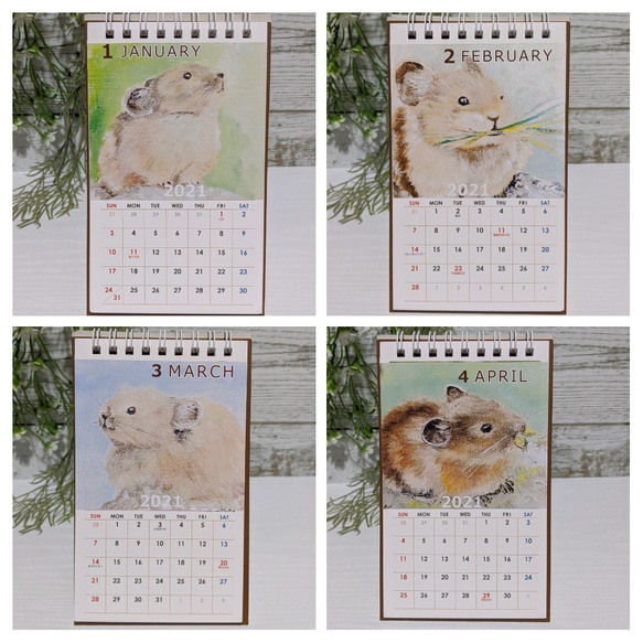 ナキウサギのカレンダー〈2021年〉 7枚目の画像