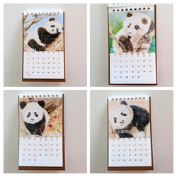 パンダのカレンダー〈2021年〉 8枚目の画像