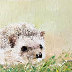 ハリネズミ 絵画 Atelier kiyomi 通販 11037229｜Creema(クリーマ)