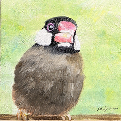 文鳥 絵画 Atelier kiyomi 通販 11119297｜Creema(クリーマ)
