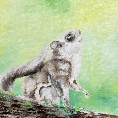 お取り置き絵画 ルイ様お取り置き コスモス 秋桜 絵画 原画 油絵 ルイ