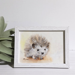 ハリネズミ　油彩画　原画 SALE ハリネズミ〈油絵〉 絵画 Atelier kiyomi 通販 12262095