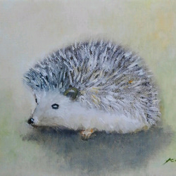 Hedgehog 1枚目の画像
