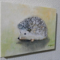 Hedgehog 2枚目の画像