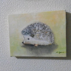 Hedgehog 3枚目の画像