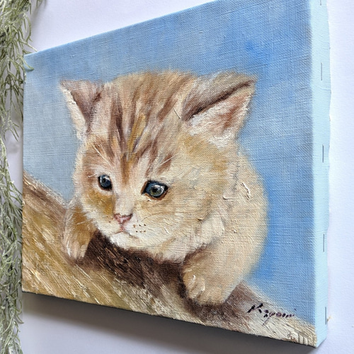生田宏司「仔猫幻影」銅版画 メゾチント 額装 サインあり 仔猫