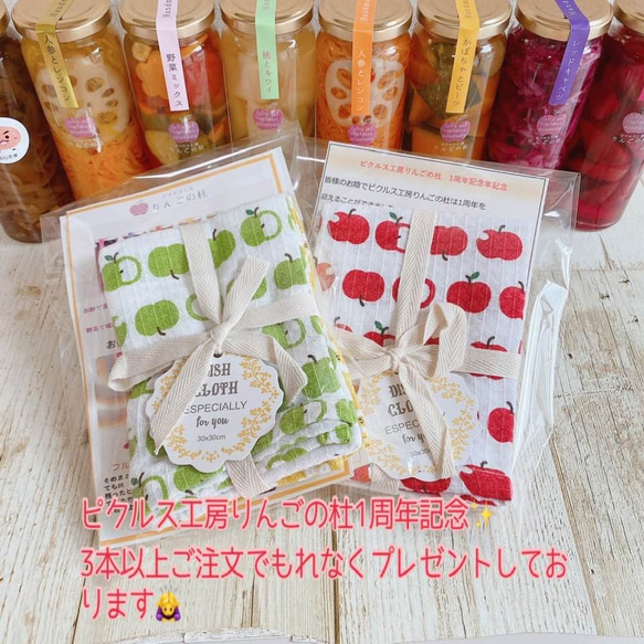 長野県産サンふじりんごの増量フルーツピクルス　【りんごの気持ちは良く分かる♪】 4枚目の画像
