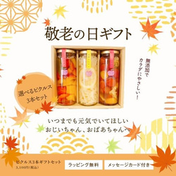 9/17　15時締切 敬老の日ギフト！カラダにやさしい贈り物　3本選べる野菜果物のピクルスギフトセット箱入りLサイズ敬老 1枚目の画像